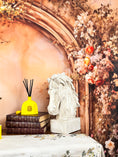 Load image into Gallery viewer, La Asad collection

