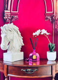 Load image into Gallery viewer, La Alina collection
