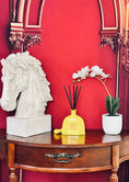 Load image into Gallery viewer, La Asad collection
