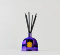 Load image into Gallery viewer, La Leena collection
