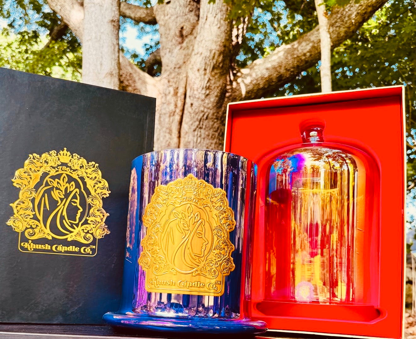 La Evelyn Collection
